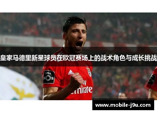 皇家马德里新星球员在欧冠赛场上的战术角色与成长挑战