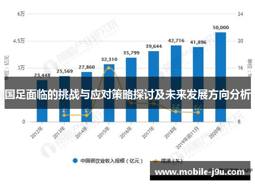 国足面临的挑战与应对策略探讨及未来发展方向分析