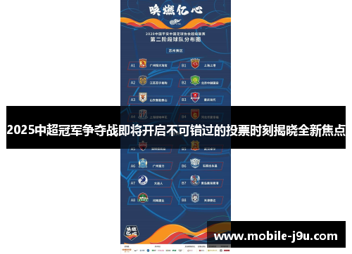 2025中超冠军争夺战即将开启不可错过的投票时刻揭晓全新焦点