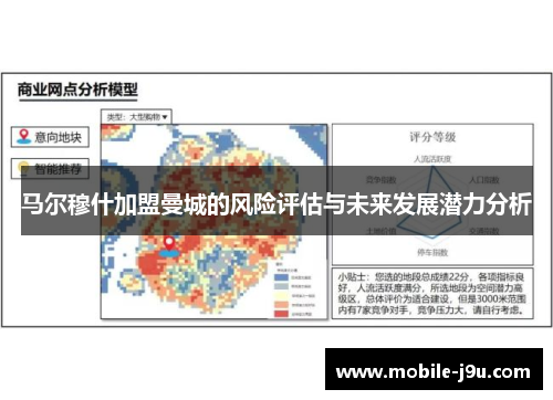 马尔穆什加盟曼城的风险评估与未来发展潜力分析