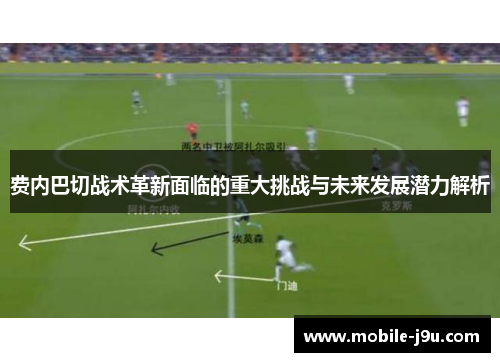 费内巴切战术革新面临的重大挑战与未来发展潜力解析